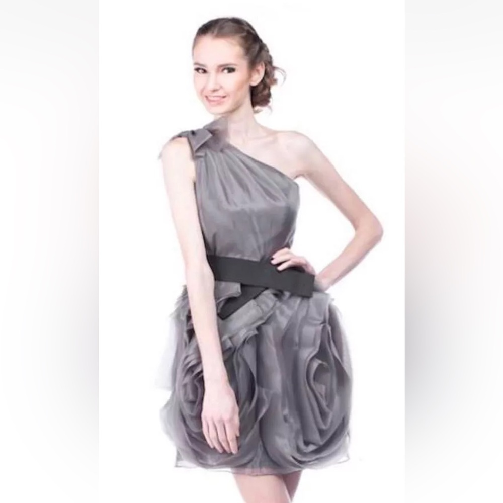 VERA WANG One Shoulder Organza Bow Ruffle Gray Dress Cocktail Size 6 NEW